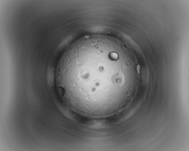 X0000115420495200911101634