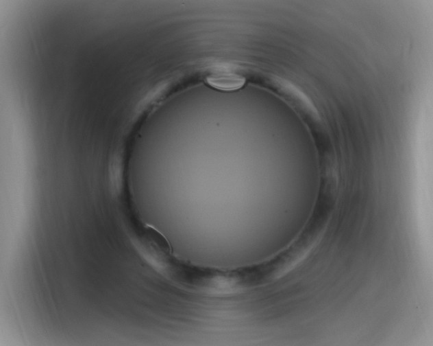 X0000115420496200911101634