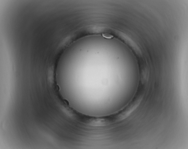 X0000115420497200911101634