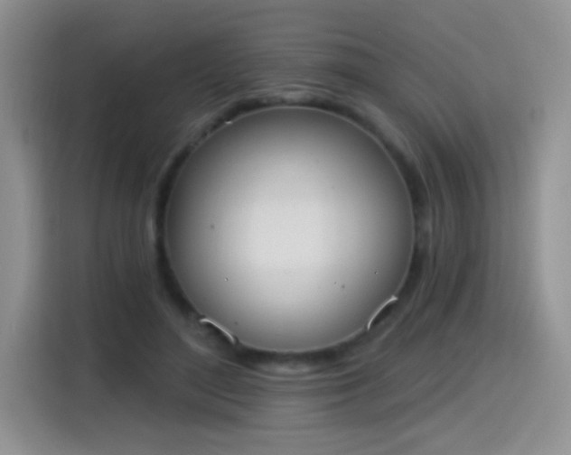 X0000115420500200911101634
