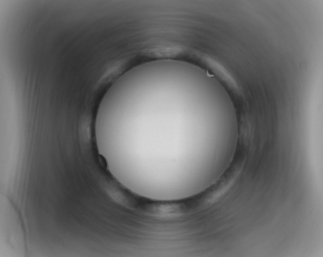 X0000115420501200911101634