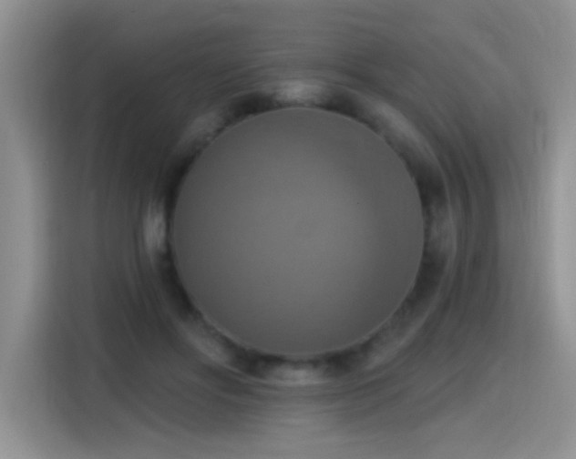 X0000115420502200911101634