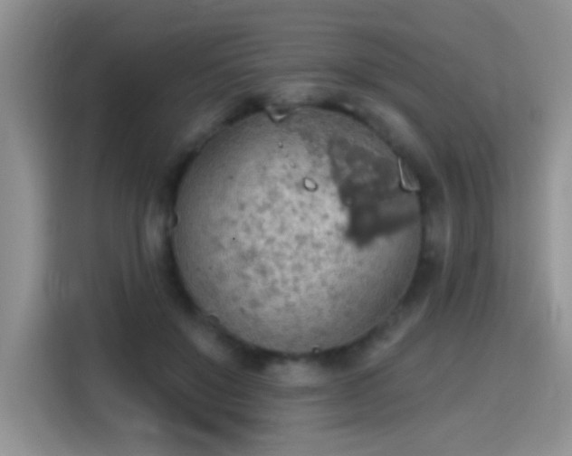 X0000115420503200911101634