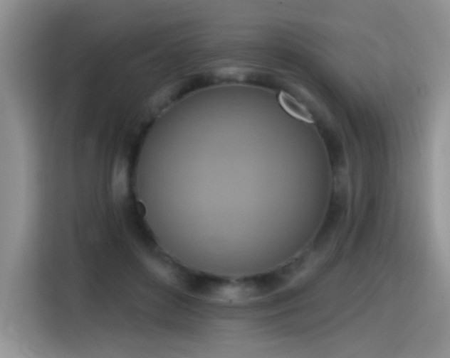 X0000115420504200911101634