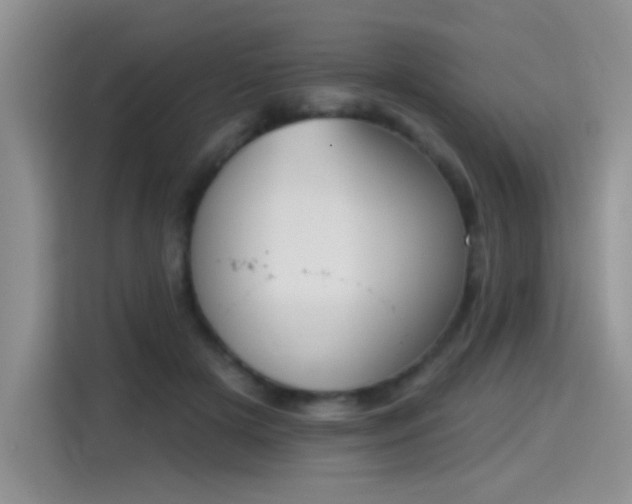 X0000115420505200911101634