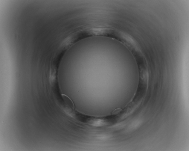 X0000115420507200911101634