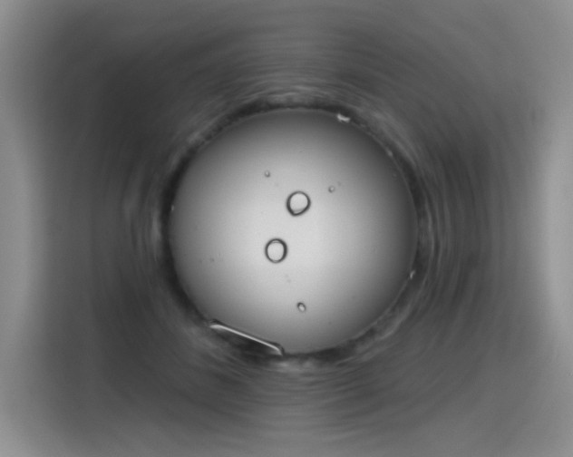 X0000115420508200911101634