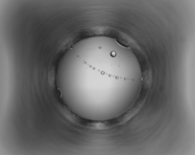 X0000115420509200911101634