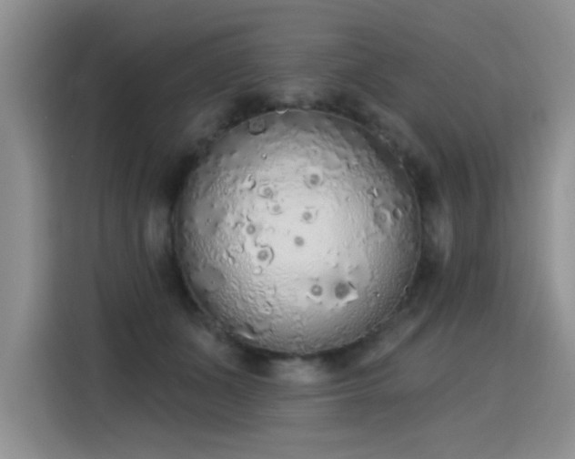 X0000115420511200911101634