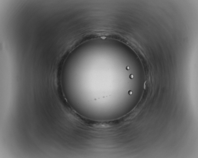 X0000115420512200911101634