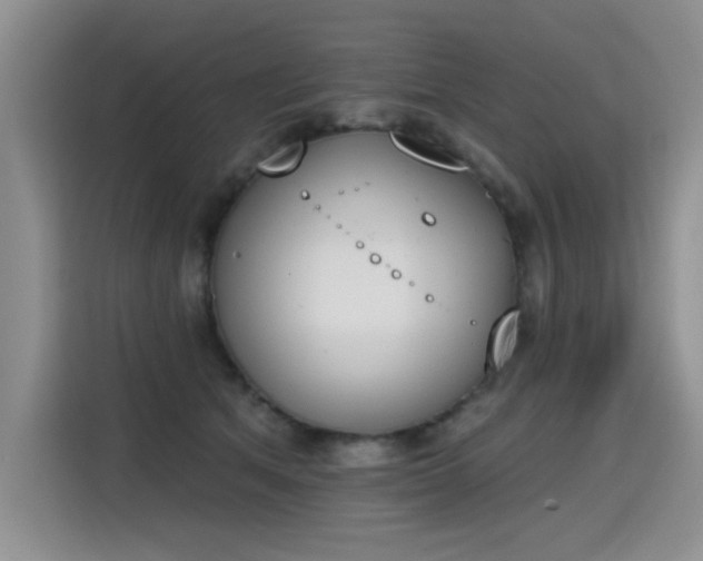 X0000115420513200911101634