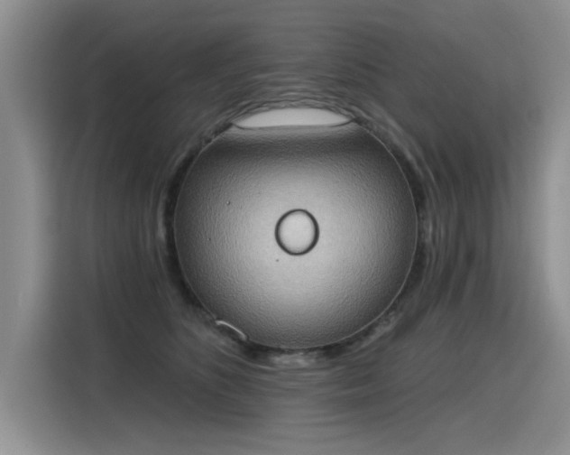 X0000115420516200911101634