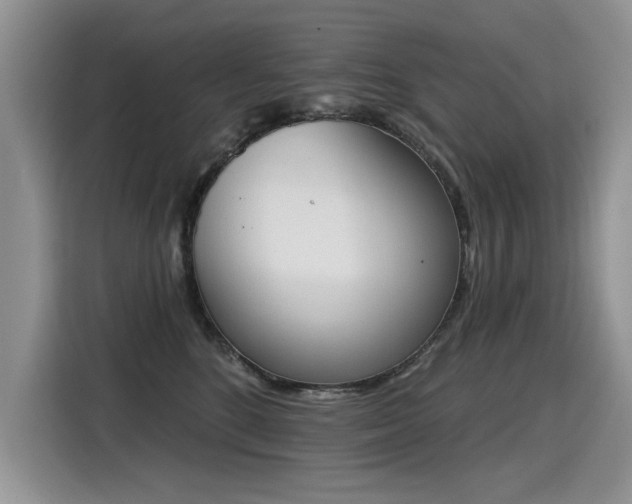 X0000115420520200911101634