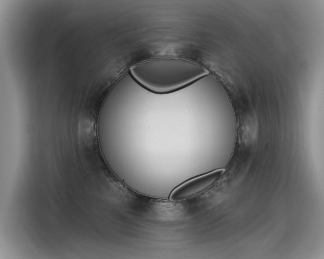 X0000115420521200911101634