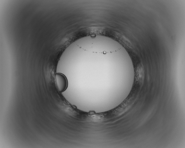X0000115420522200911101634