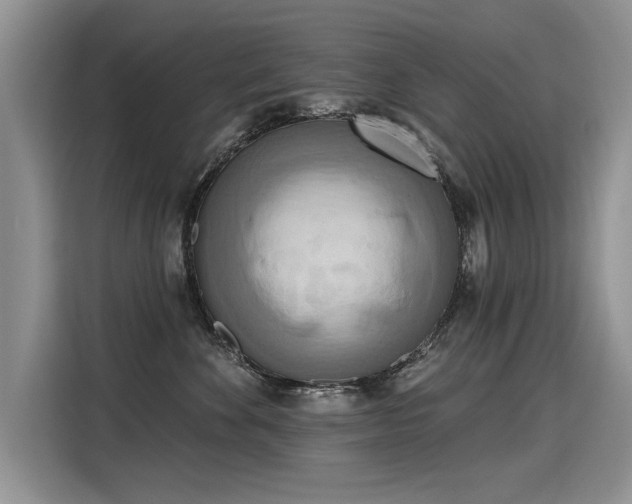 X0000115420524200911101634