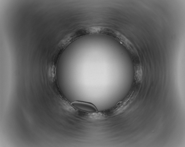 X0000115420525200911101634