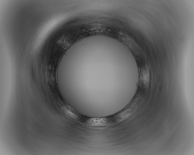 X0000115420526200911101634