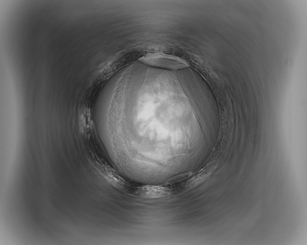 X0000115420528200911101634