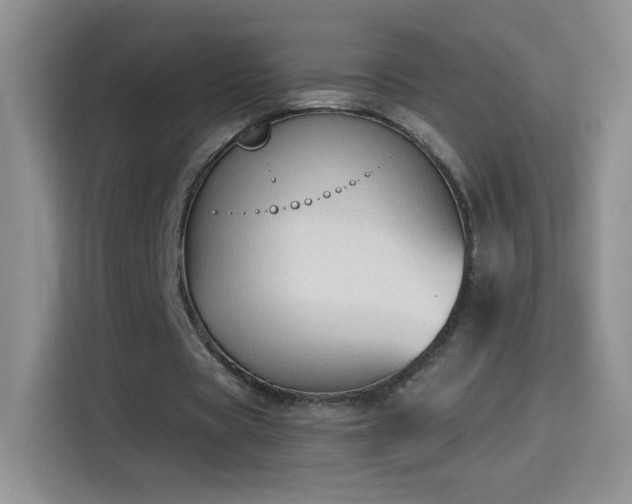 X0000115420529200911101633