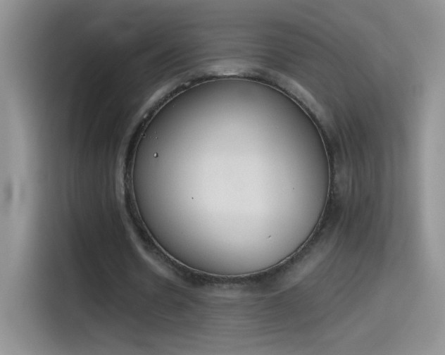 X0000115420530200911101633