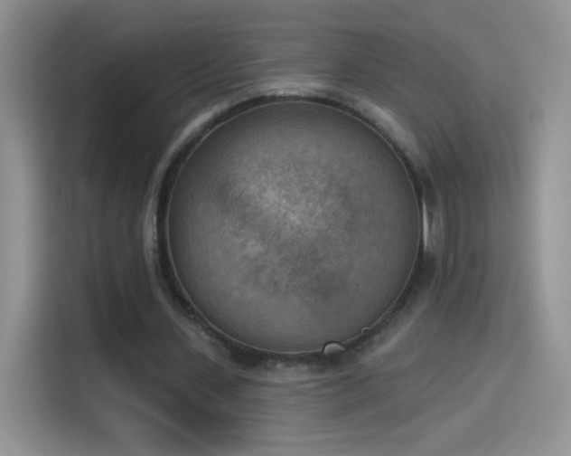 X0000115420531200911101633