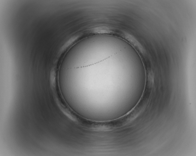 X0000115420533200911101633