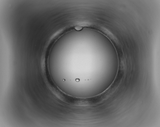 X0000115420535200911101633