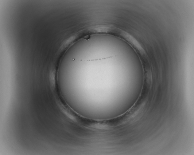 X0000115420537200911101633