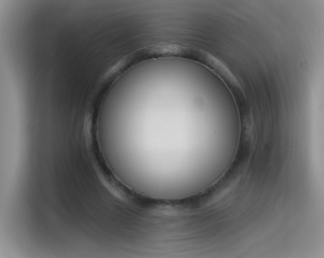 X0000115420538200911101633