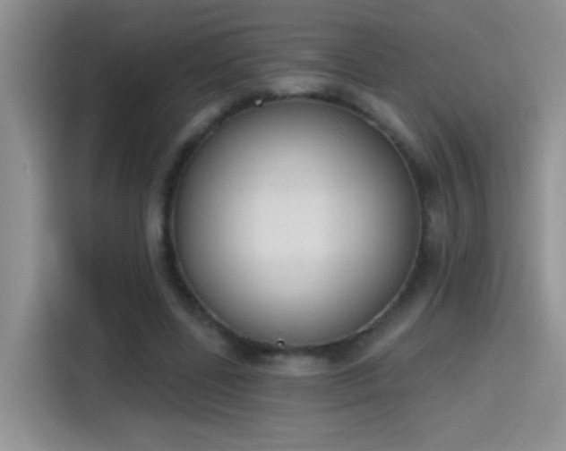 X0000115420539200911101633