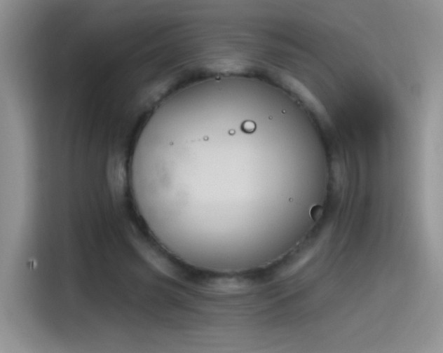 X0000115420541200911101633