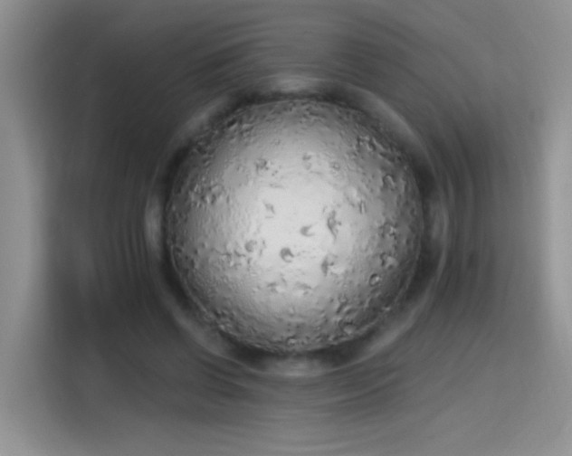 X0000115420542200911101633