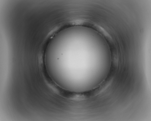 X0000115420543200911101633