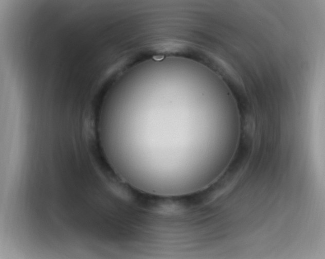 X0000115420547200911101633