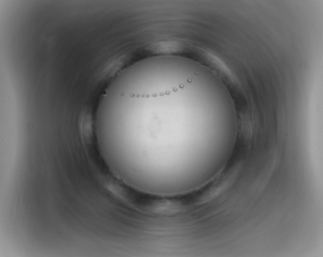 X0000115420549200911101633
