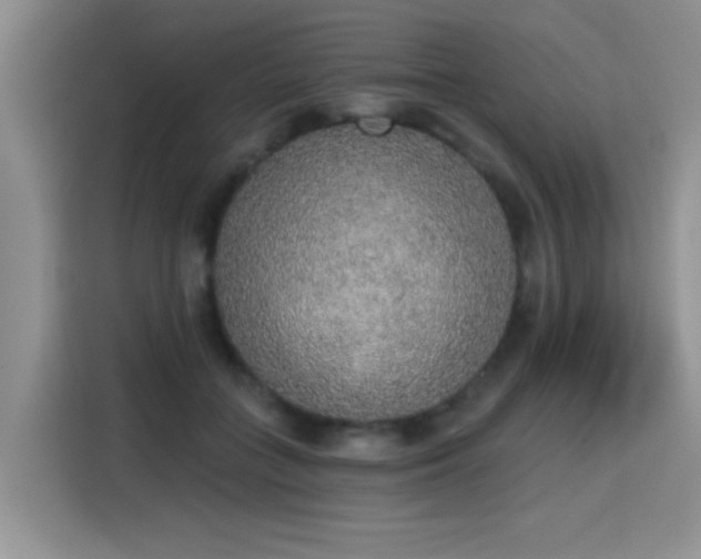 X0000115420555200911101634
