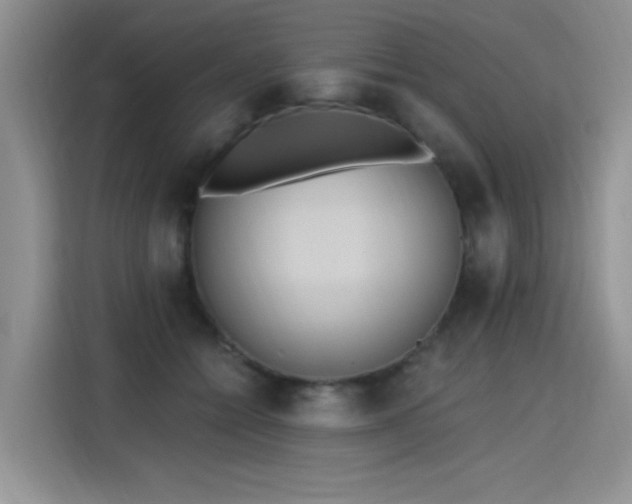 X0000115420558200911101634