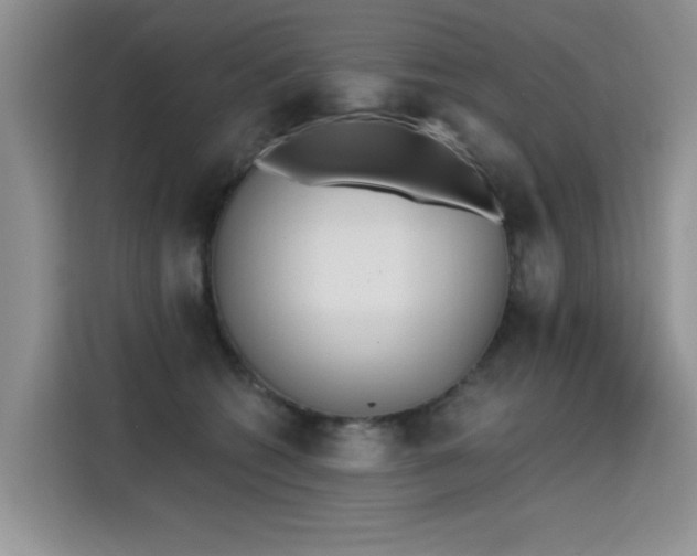 X0000115420562200911101634