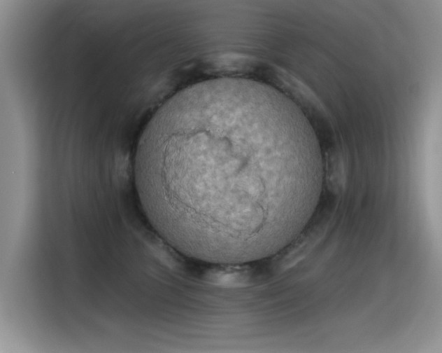 X0000115420563200911101634