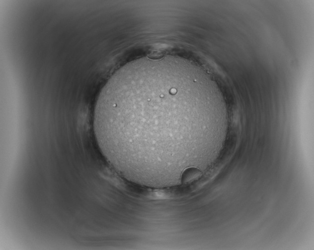 X0000115420565200911101634