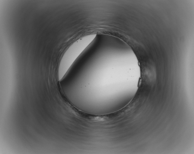 X0000115420566200911101634