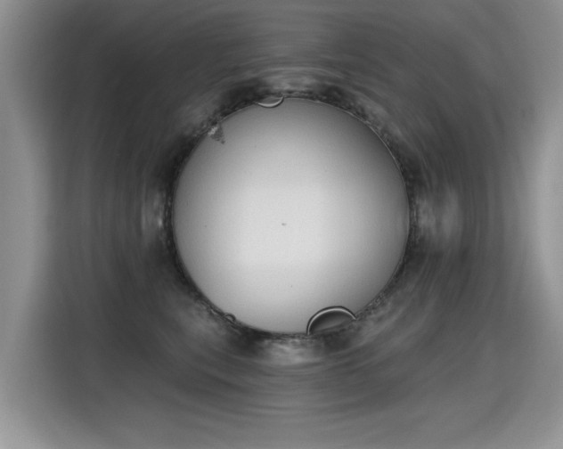 X0000115420567200911101634
