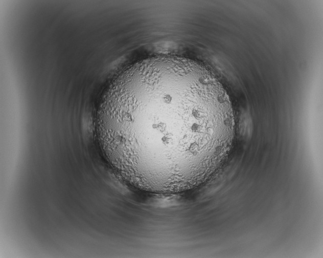 X0000115420569200911101634
