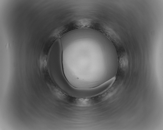 X0000115420570200911101634