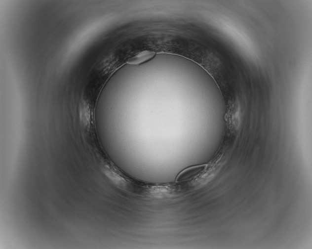 X0000115420574200911101634