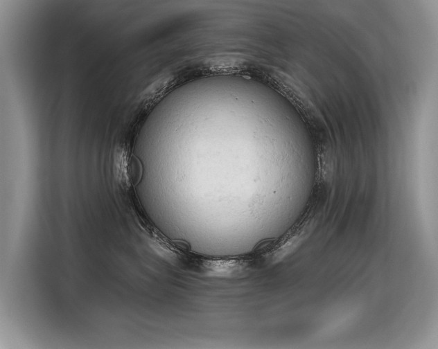 X0000115420575200911101634