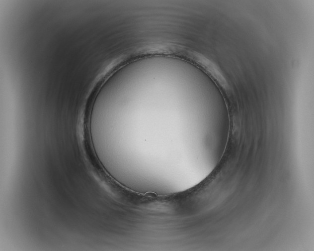 X0000115420578200911101633