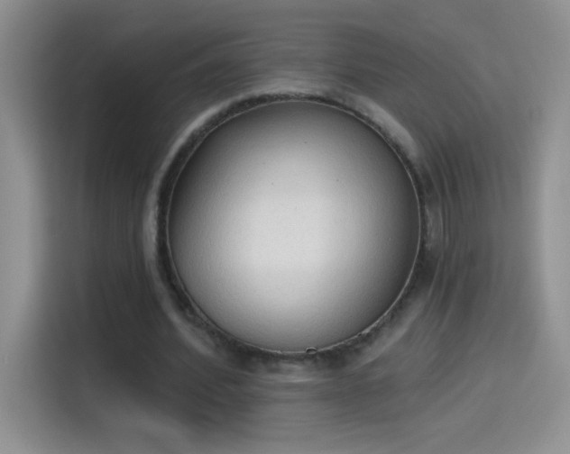 X0000115420580200911101633