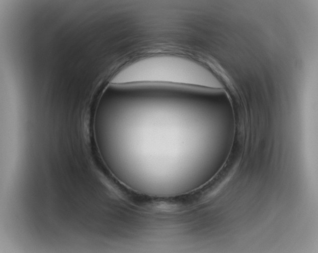 X0000115420585200911101633